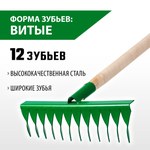 Грабли РОСТОК садовые с черенком, 12 витых зубцов 421900-12